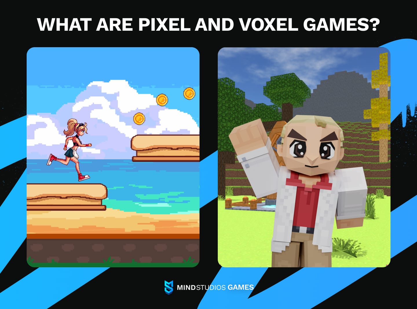 Pixel vs Voxel art